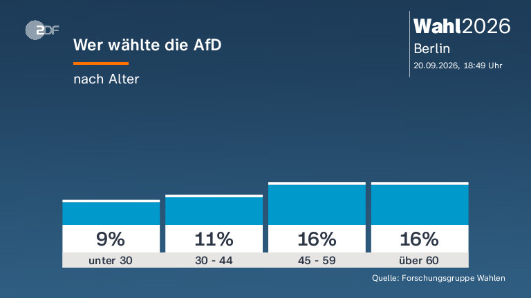 Wer wählte die AfD