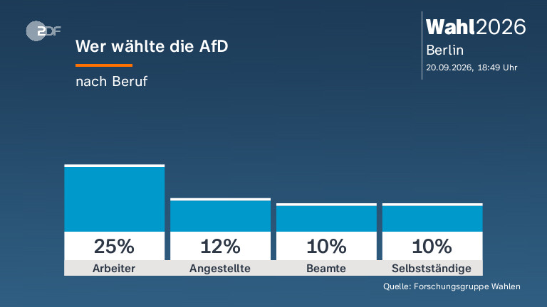 Wer wählte die AfD