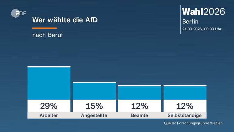 Wer wählte die AfD
