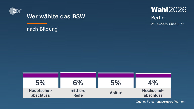 Wer wählte das BSW