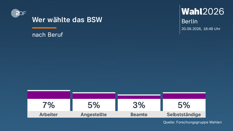 Wer wählte das BSW
