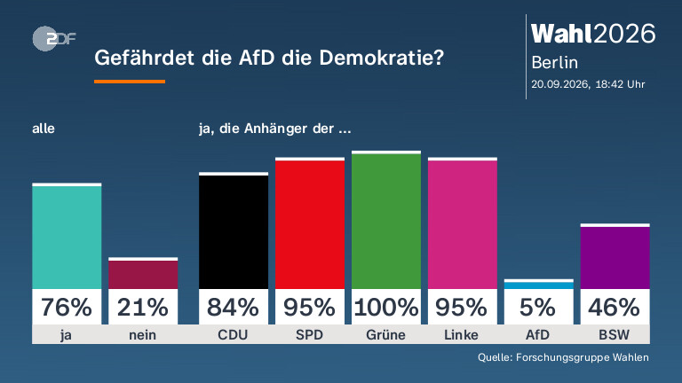 Gefährdet die AfD die Demokratie?