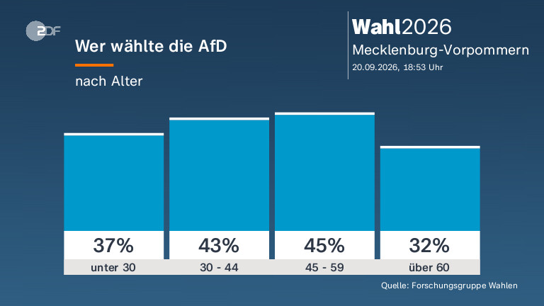 Wer wählte die AfD