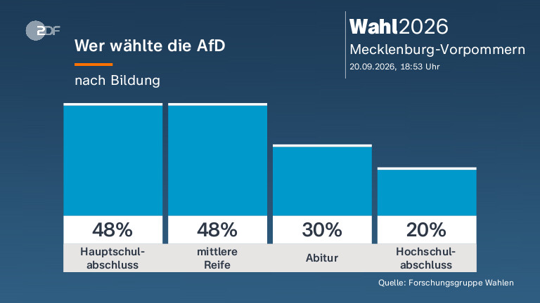 Wer wählte die AfD