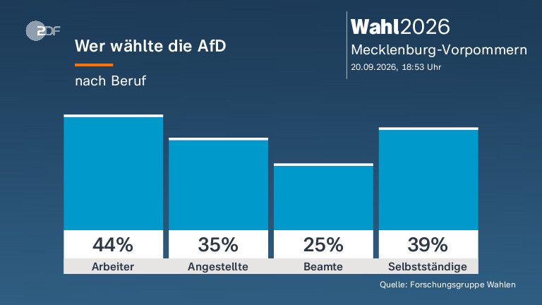 Wer wählte die AfD