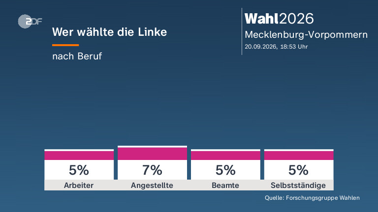 Wer wählte die Linke