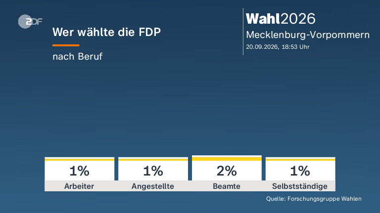 Wer wählte die FDP