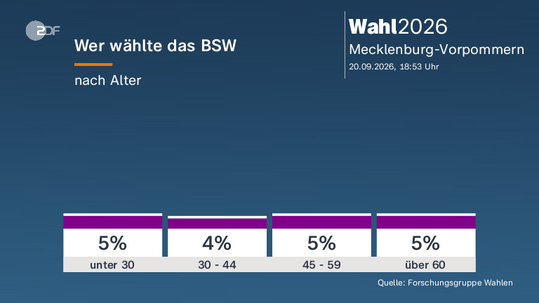 Wer wählte das BSW