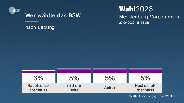 Wer wählte das BSW
