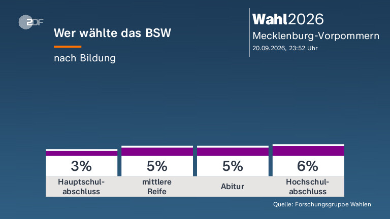 Wer wählte das BSW