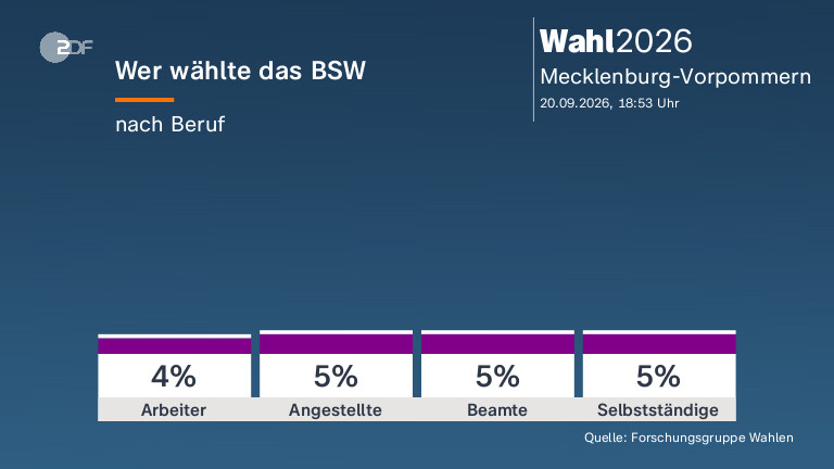 Wer wählte das BSW