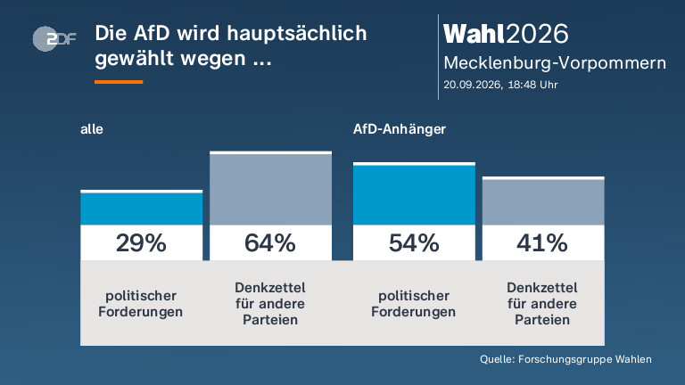 Die AfD wird hauptsächlich gewählt wegen ...