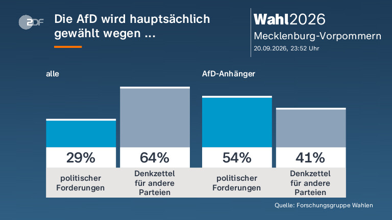 Die AfD wird hauptsächlich gewählt wegen ...