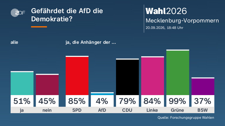 Gefährdet die AfD die Demokratie?