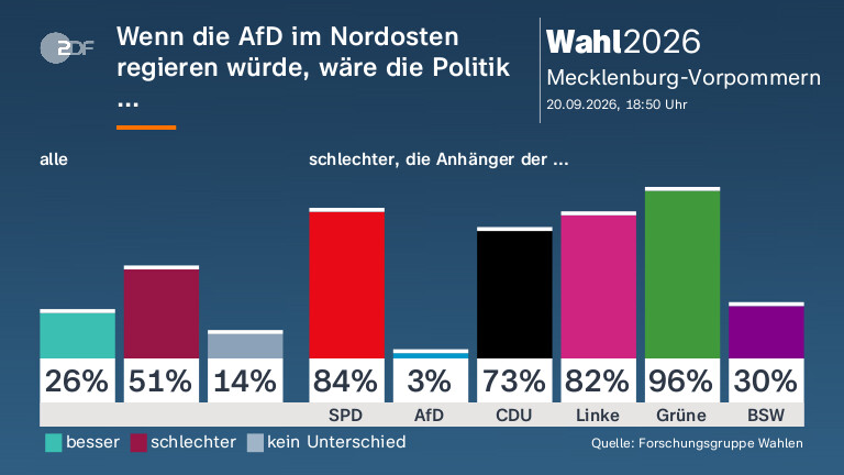 Wenn die AfD im Nordosten regieren würde, wäre die Politik ...
